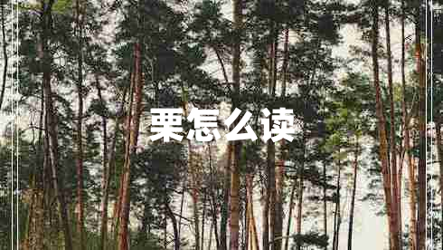 栗怎么讀