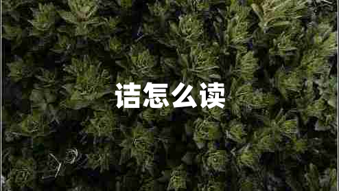詰怎么讀