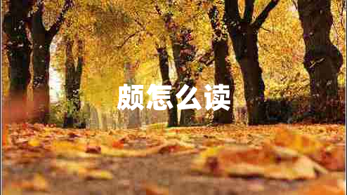 頗怎么讀