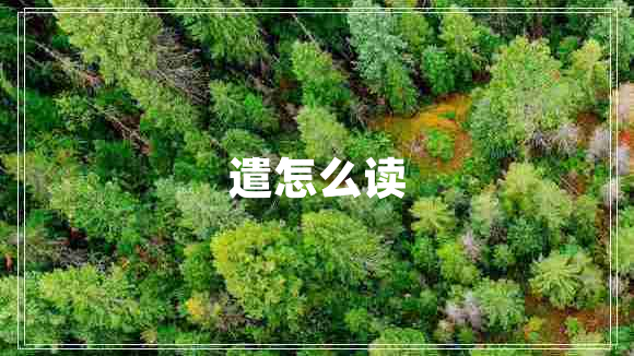 遣怎么讀