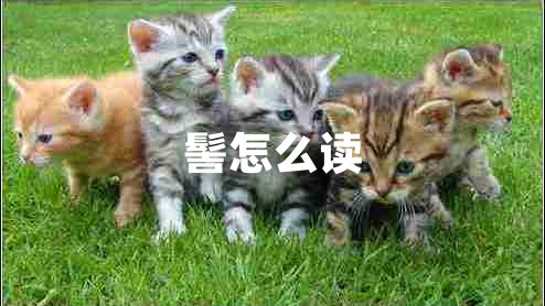 髻怎么讀