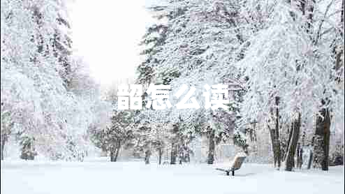 韶怎么讀