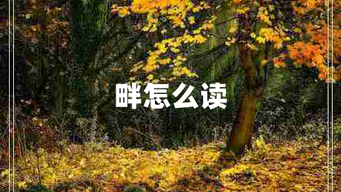 畔怎么讀