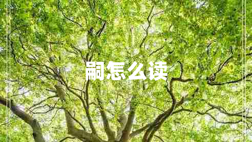 嗣怎么讀