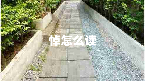 悼怎么讀