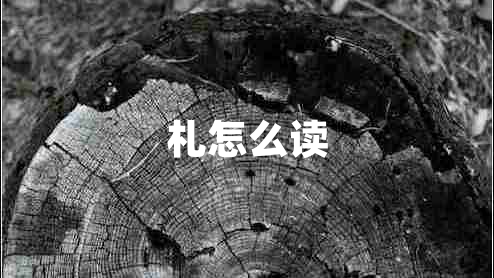 札怎么讀