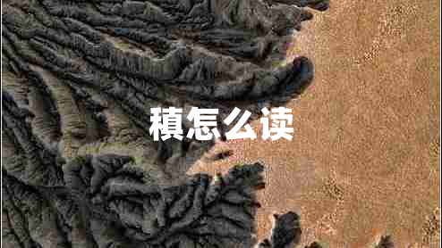稹怎么讀