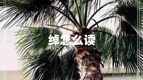 綽怎么讀