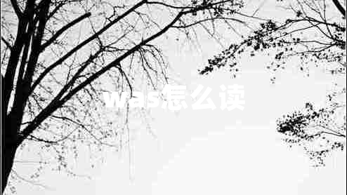 was怎么讀
