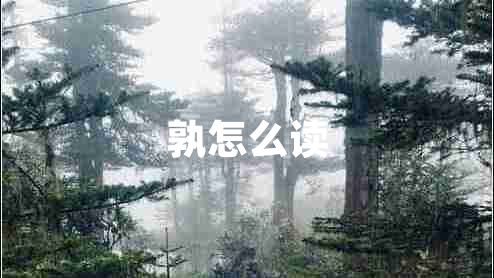孰怎么讀