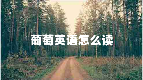 葡萄英語(yǔ)怎么讀