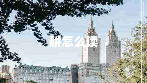 肼怎么讀