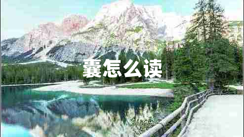 囊怎么讀