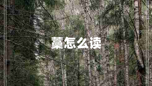 藁怎么讀