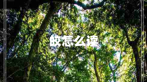 皎怎么讀