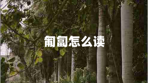 匍匐怎么讀