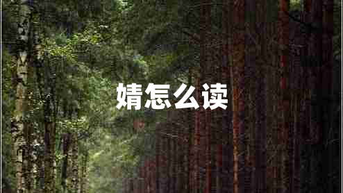 婧怎么讀