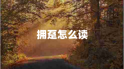 擁躉怎么讀