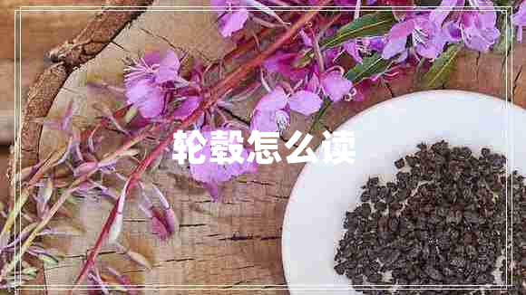 輪轂怎么讀