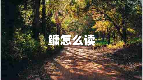 鳙怎么讀