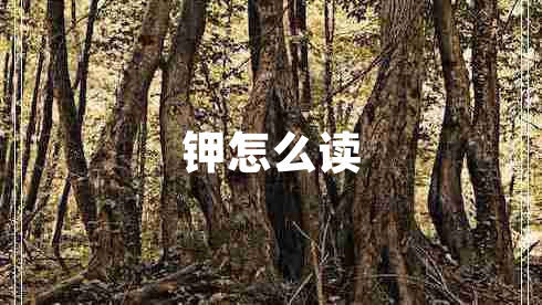 鉀怎么讀