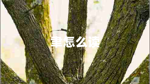 聿怎么讀