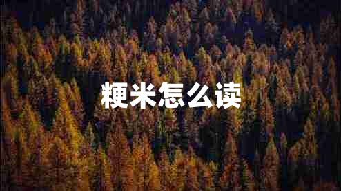 粳米怎么讀