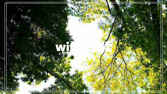 wifi怎么讀