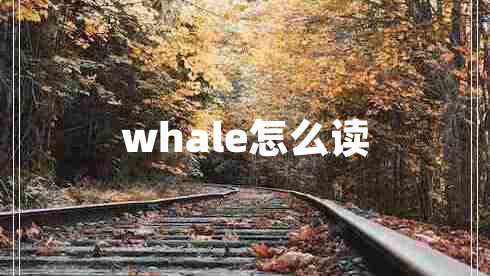 whale怎么讀