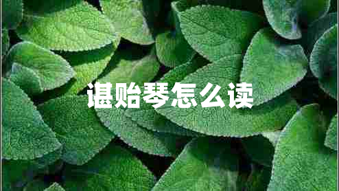 諶貽琴怎么讀