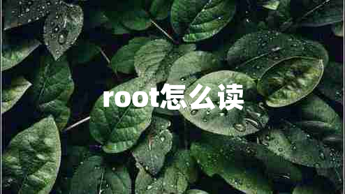 root怎么讀