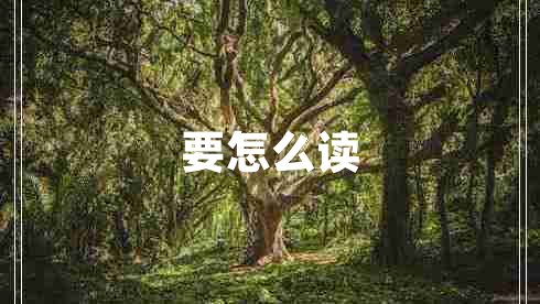 要怎么讀