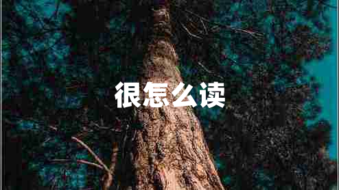 很怎么讀