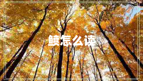 鲼怎么讀
