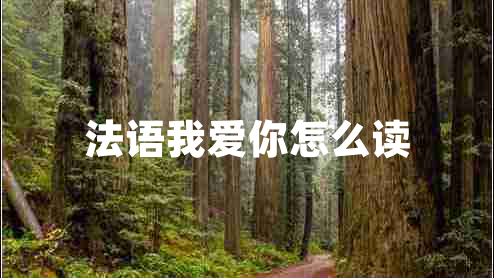法語(yǔ)我愛(ài)你怎么讀
