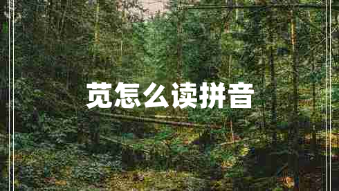 莧怎么讀拼音