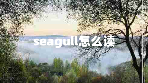 seagull怎么讀