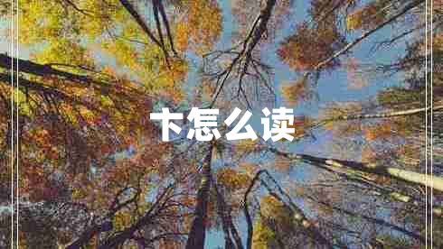 卞怎么讀