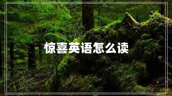 驚喜英語(yǔ)怎么讀
