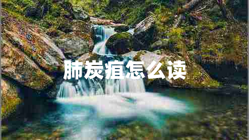 肺炭疽怎么讀