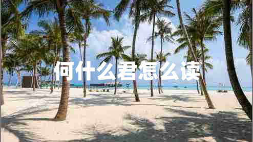 何什么君怎么讀