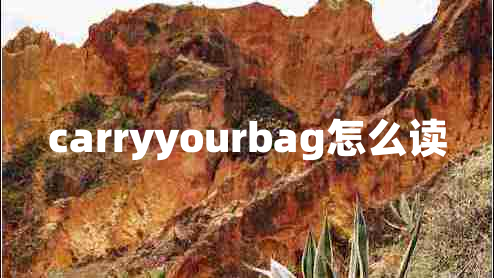 carryyourbag怎么讀