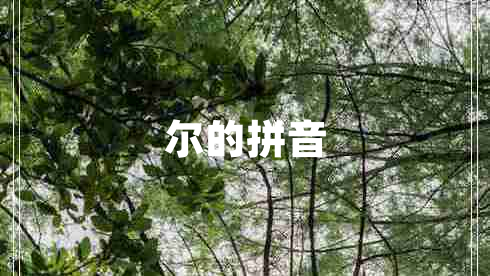 爾的拼音