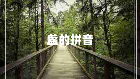 盞的拼音