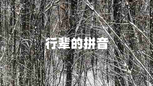 行輩的拼音