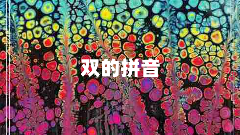 雙的拼音