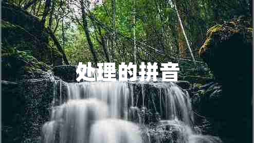 處理的拼音