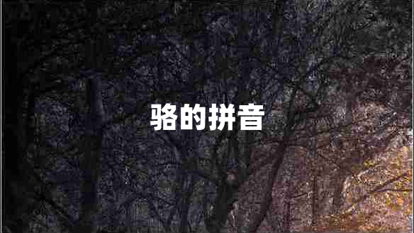 駱的拼音