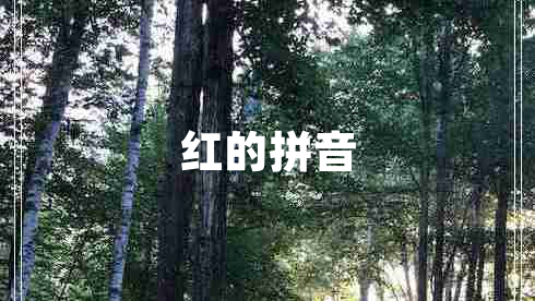 紅的拼音