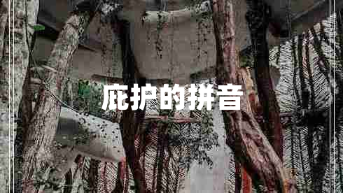 庇護的拼音